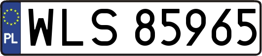 WLS85965