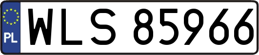 WLS85966