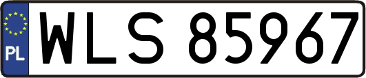 WLS85967