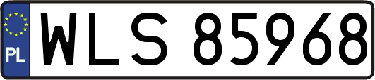 WLS85968
