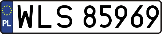 WLS85969