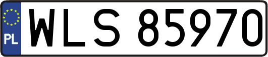 WLS85970
