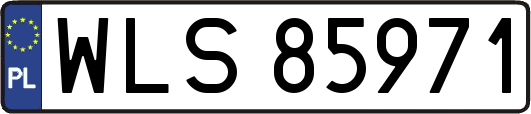 WLS85971