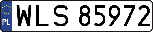 WLS85972