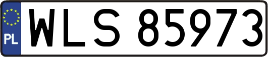 WLS85973