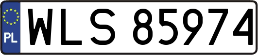 WLS85974