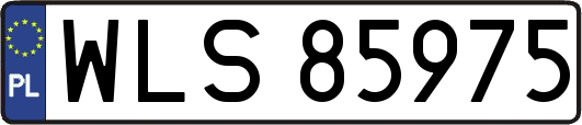 WLS85975