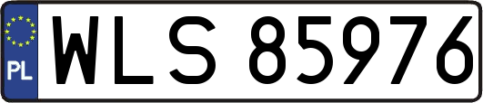WLS85976