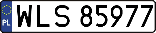 WLS85977