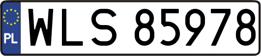 WLS85978