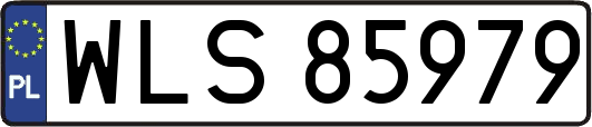 WLS85979