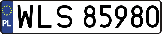WLS85980