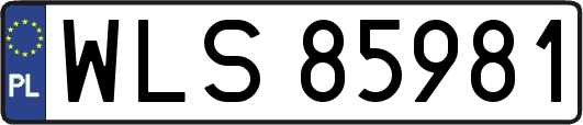 WLS85981