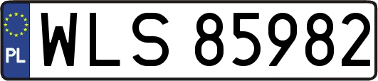 WLS85982