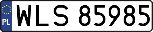 WLS85985