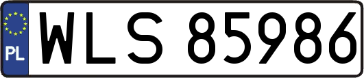 WLS85986