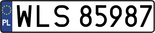 WLS85987