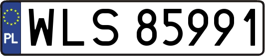 WLS85991