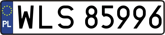 WLS85996