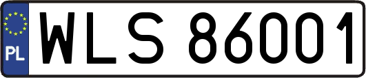 WLS86001