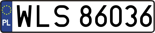 WLS86036