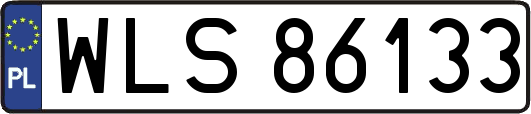 WLS86133