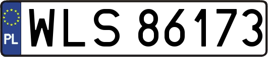 WLS86173
