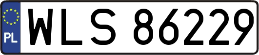 WLS86229