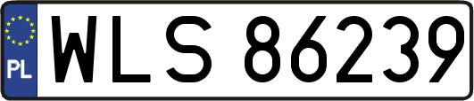 WLS86239