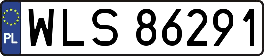 WLS86291