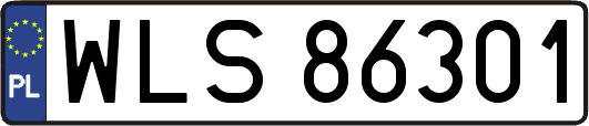 WLS86301