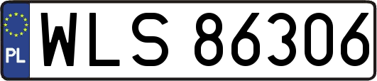 WLS86306