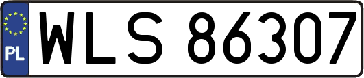 WLS86307