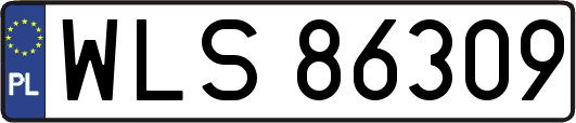 WLS86309