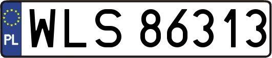 WLS86313
