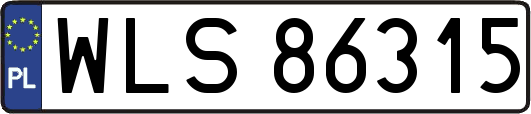 WLS86315