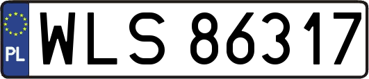 WLS86317
