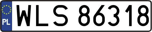 WLS86318