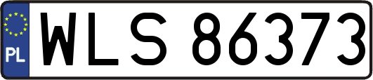 WLS86373