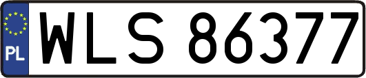 WLS86377