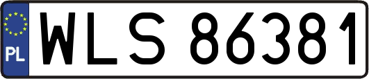 WLS86381