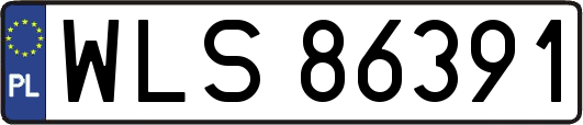 WLS86391
