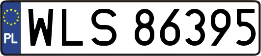 WLS86395