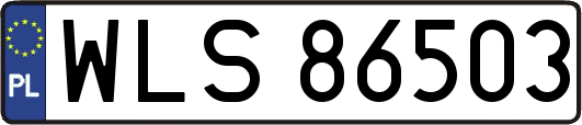 WLS86503