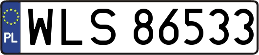WLS86533