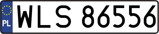WLS86556