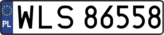 WLS86558