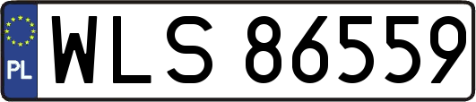 WLS86559
