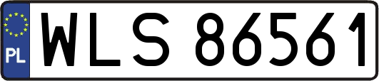 WLS86561