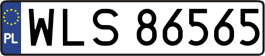 WLS86565